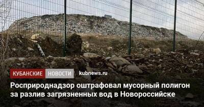 Росприроднадзор оштрафовал мусорный полигон за разлив загрязненных вод в Новороссийске