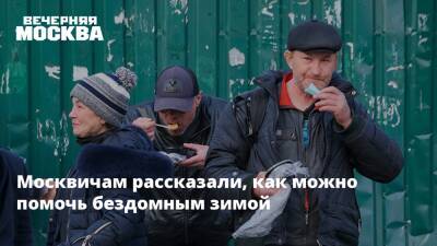 Москвичам рассказали, как можно помочь бездомным зимой