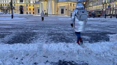 «Катастрофа со снегом»: иллюстратор Богорад раскритиковал петербургских коммунальщиков