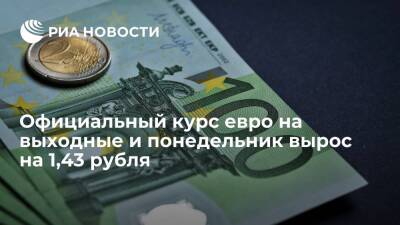 Официальный курс евро на выходные и понедельник вырос на 1,43 рубля до 86,89 рубля - ria.ru - Москва - Россия