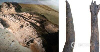 В Британии во время раскопок обнаружили деревянную фигурку – фото и все подробности
