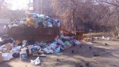 Названы главные ошибки мусорной реформы в России