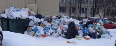 Число жалоб на невывезенный мусор в Петербурге снизилось на 13,6%