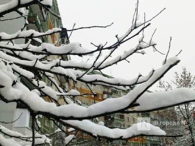 Мороз до −7°С и легкий снег ожидаются в Нижегородской области в выходные