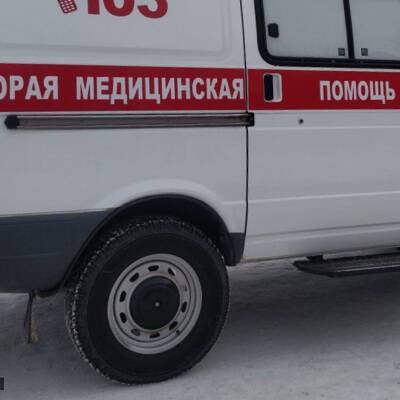 В Серпухове оштрафовали водителя машины, катавшего людей на санках