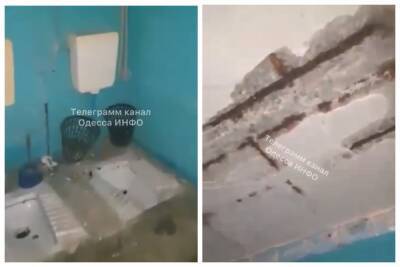 "Это не тюремная камера": в Одессе показали "удобства" в студенческом общежитии, кадры - politeka.net - Украина - Одесса - Одесса