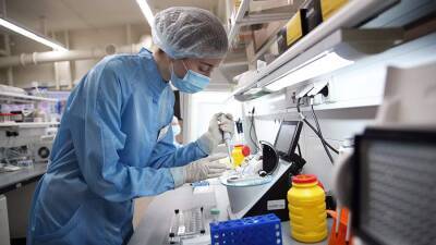 Ученые связали распространение «Омикрона» с ростом популяционного иммунитета