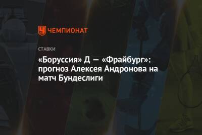 «Боруссия» Д — «Фрайбург»: прогноз Алексея Андронова на матч Бундеслиги