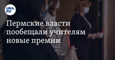 Пермские власти пообещали учителям новые премии