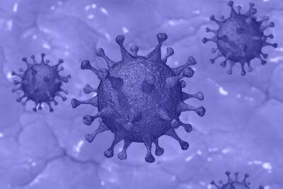 Сухой воздух делает коронавирус менее заразным