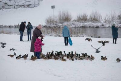 Мокрый снег и гололед прогнозируют в Псковской области 15 декабря