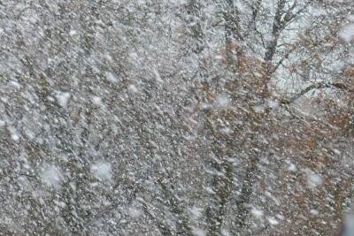 В Курской области 15 января прогнозируют снег и ветер с порывами до 22 метров в секунду