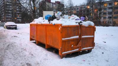 Эколог Нагорская: петербургский рынок уборки ТКО утратил свою конкурентность