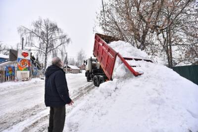 В Ярославле готовятся слепить из снега гигантского снежного тигра