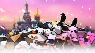 Эксперты по ЖКХ: мусорная реформа в Петербурге закончилась крахом