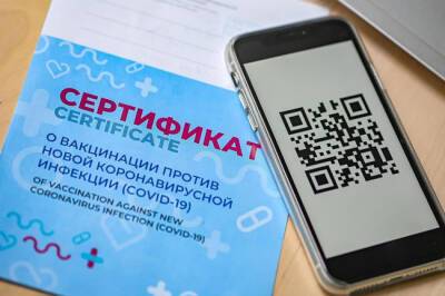 Власти рассказали, будут ли вводить QR-коды в детсадах и школах Карелии