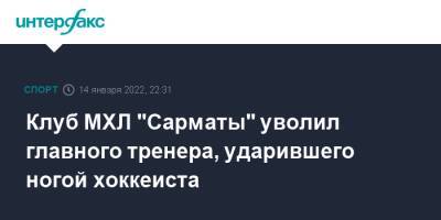 Клуб МХЛ "Сарматы" уволил главного тренера, ударившего ногой хоккеиста