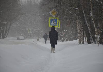 МЧС сообщило, что ветер в Рязанской области усилится до 20 м/с