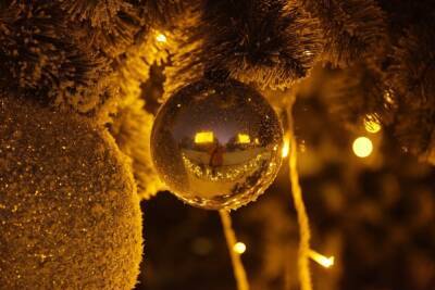 В Ростове-на-Дону ветром снесло главную новогоднюю елку