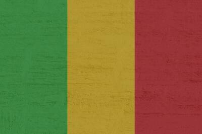 Малийская армия обвиняется в казнях без судебного разбирательства и мира