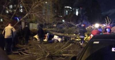 В Киеве из-за сильного ветра на автомобиль упало дерево: есть погибший и травмированные (ВИДЕО)