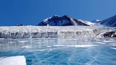Ученые судна Polarstern обнаружили крупную популяцию рыб подо льдами в Антарктиде