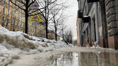 Политтехнолог Август: снежный коллапс в Петербурге привел к потере репутации города