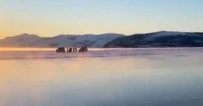 Спасатели вытащили со льдины 8 рыбаков в Магаданской области