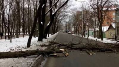 На Ставрополье из-за урагана без электроснабжения остались более 35 тысяч человек