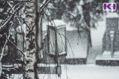 Погода в Коми 15 января: небольшой снег, ветер порывами до 6-11 м/с