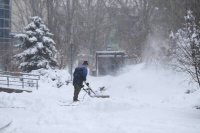 В Волгограде за не убранный снег во дворах УК заплатят штрафы
