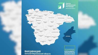 В Воронежской области назвали районы с самым большим числом привившихся за год