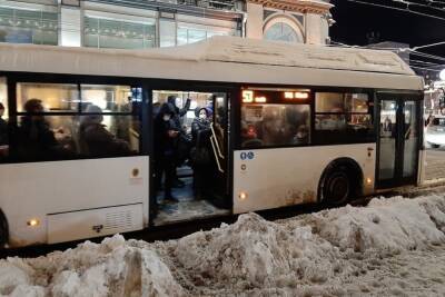 Автобусы Саратов-Липецк начнут регулярные рейсы с 16 января