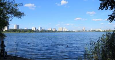 ОО "Новая Вирлица" встала на защиту озера в Дарницком районе столицы