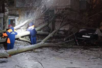 Шторм повредил 27 домов, 9 машин, снёс кран и 100 деревьев на Ставрополье