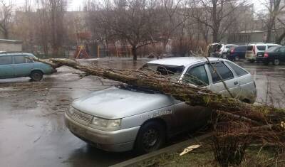 В Ставрополе ввели режим ЧС для ликвидации последствий урагана