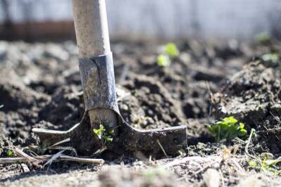 В Комсомольске-на-Амуре суд обязал мужчину восстановить почву