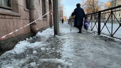 Жителей Петербурга предупредили о гололедице и порывистом ветре в первый день выходных