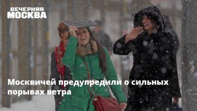 Москвичей предупредили о сильных порывах ветра - vm.ru - Москва - Москва