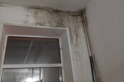 Жительница Смоленского района рассказала о протекающей крыше