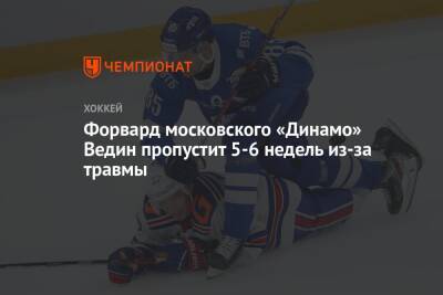 Форвард московского «Динамо» Ведин пропустит 5-6 недель из-за травмы