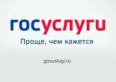 Мошенники используют QR-коды для взлома аккаунтов россиян на «Госуслугах»