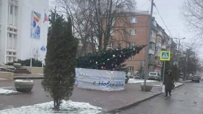 Еще одна новогодняя елка рухнула в Ростове на Сельмаше