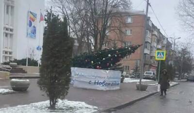 Еще одна новогодняя елка упала в Ростове-на-Дону