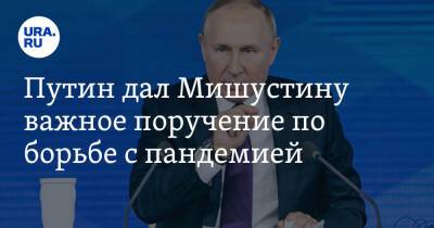Путин дал Мишустину важное поручение по борьбе с пандемией
