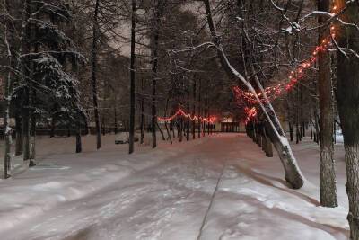16 января в Рязанской области ожидается снег и до -8