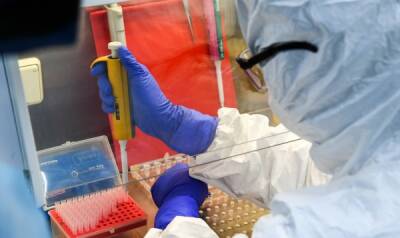 В России выявлено более 27 тысяч новых случаев коронавируса