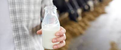 Чрезмерное употребление молочных продуктов может привести к раку простаты у мужчин