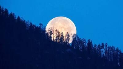 Сегодня 14 лунный день: характеристики и рекомендации