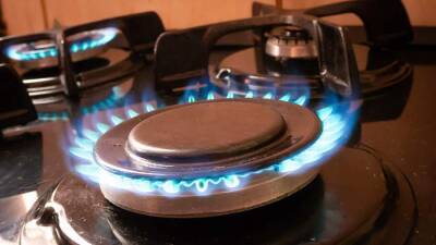 Эксперт оценил слова главы МЭА о вине «Газпрома» в энергокризисе в ЕС